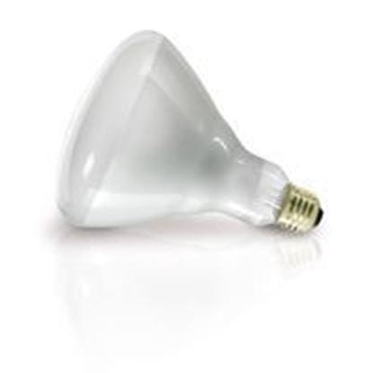Light Bulbs Incandescents R40 Heat Lamp 125W medium 125R40 CL 12ML