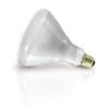 Light Bulbs Incandescents R40 Heat Lamp 250W medium 250R40 CL 12ML