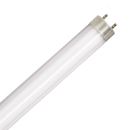 LED Bulbs Tubes - Replace Fluorescent 4FT T8 High Brightness Direct Install Glass 5000K L17T8 5K FR PLUGNGO (UNCOATED)