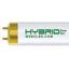Light Bulbs Fluorescent Tubes Linear T8 Bipin F32T8 3500K SPECTRA-SUNRISE XD5 15YR