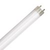 LED Bulbs Tubes - Replace Fluorescent 4FT T8 High Brightness Direct Install Glass 5000K 2400 LUMEN 17W L17T8 5K FR PLUGNGO (UNCOATED) 7YR
