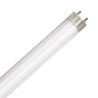 LED Bulbs Tubes - Replace Fluorescent 4FT T8 High Brightness Direct Install Glass 5000K 2400 LUMEN 17W L17T8 5K FR PLUGNGO (UNCOATED) 7YR