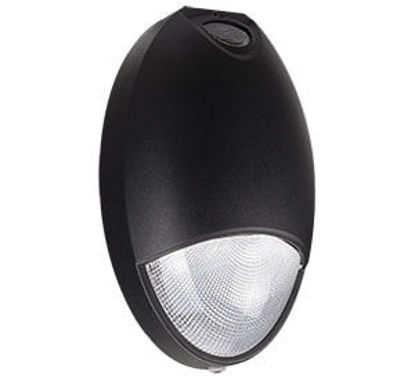LED Outdoor Wall & Path Sconce 35MH Equiv 65K 12W 3YR
