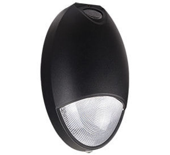 LED Outdoor Wall & Path Sconce 35MH Equiv 65K 12W 3YR