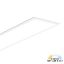 LED Spec-Select™ Panel 1' X 4' with ISO 20/25/30W 35/41/50K DIMM 120-277V 5YR